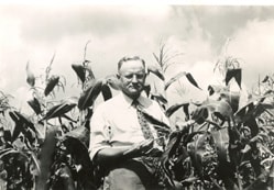 1955 Jones Large