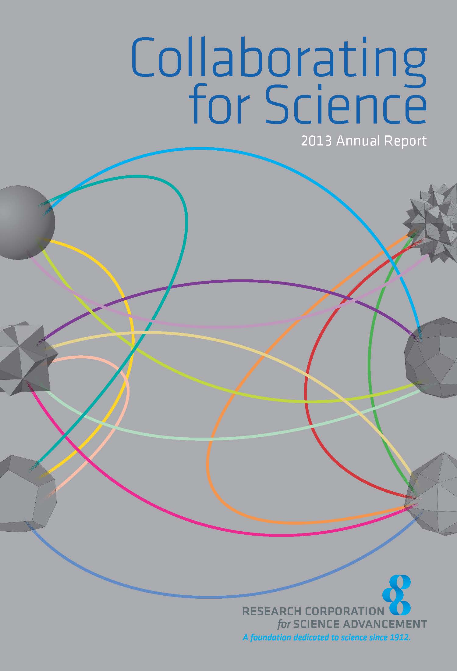 2013 annual report cover