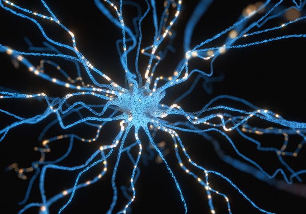 Fellows Selected for New Scialog: Advancing BioImaging