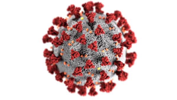 RCSA’s COVID-19 Initiative Funds 7 Promising Proposals
