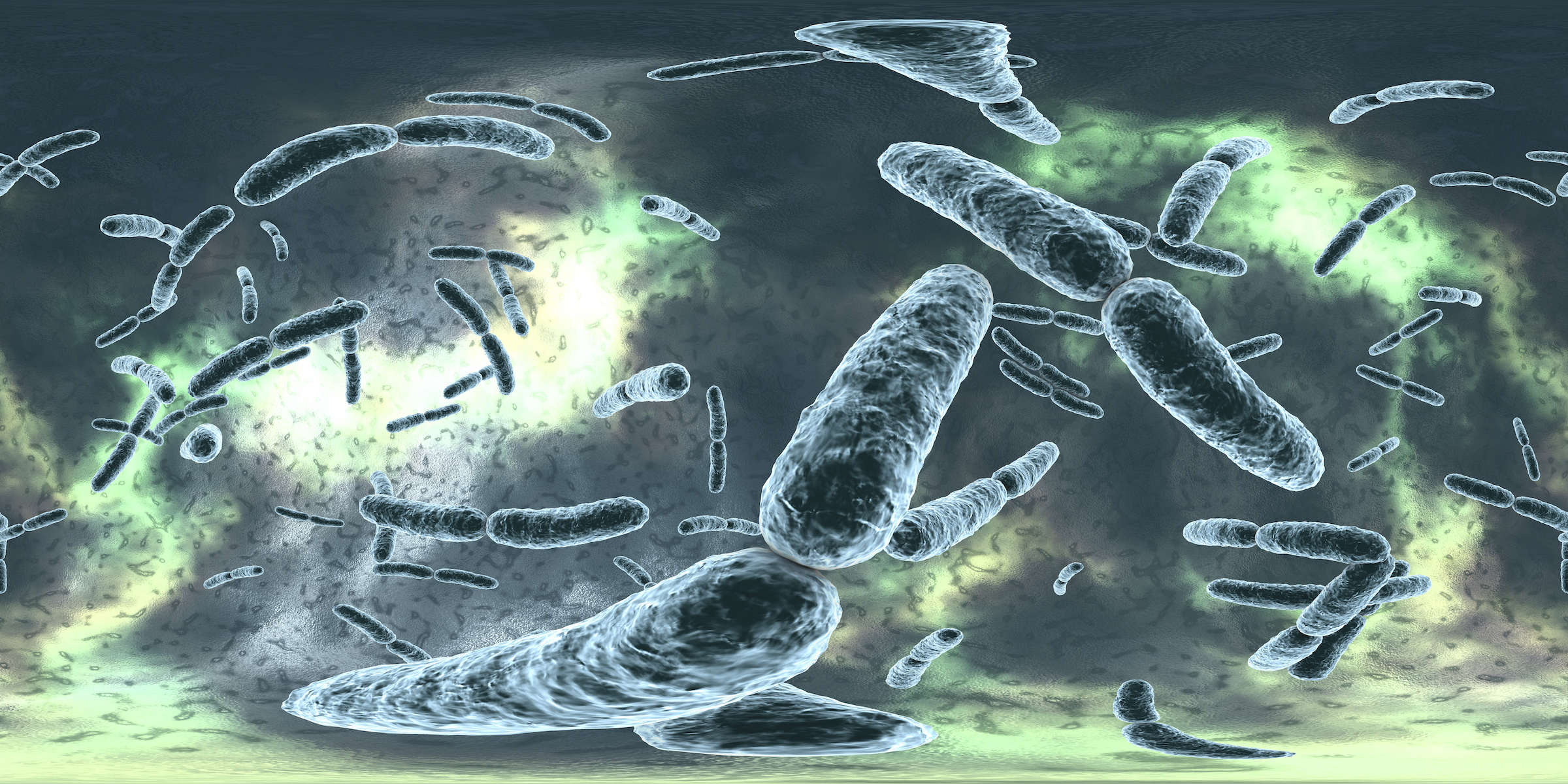 Resized: 1st Scialog: Microbiome, Neurobiology and Disease postponed to 2021