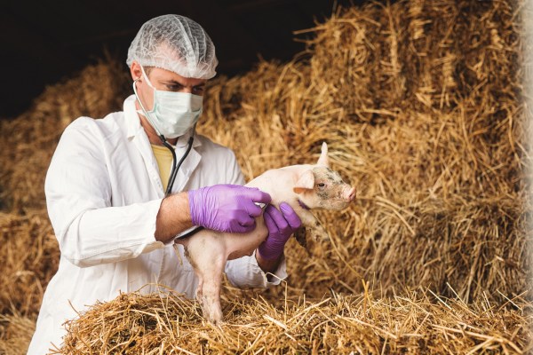 RCSA, USDA Partner to Launch New Scialog: Mitigating Zoonotic Threats