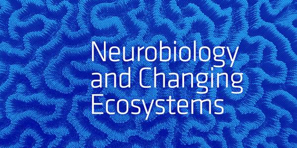 Scialog: Neurobiology and Changing Ecosystems Fellows Selected
