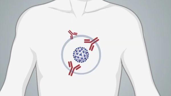 From Pandemic Hobby to Public Health Insight