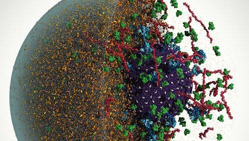 COVID-19 Initiative in 2020 Catalyzed Impactful Research